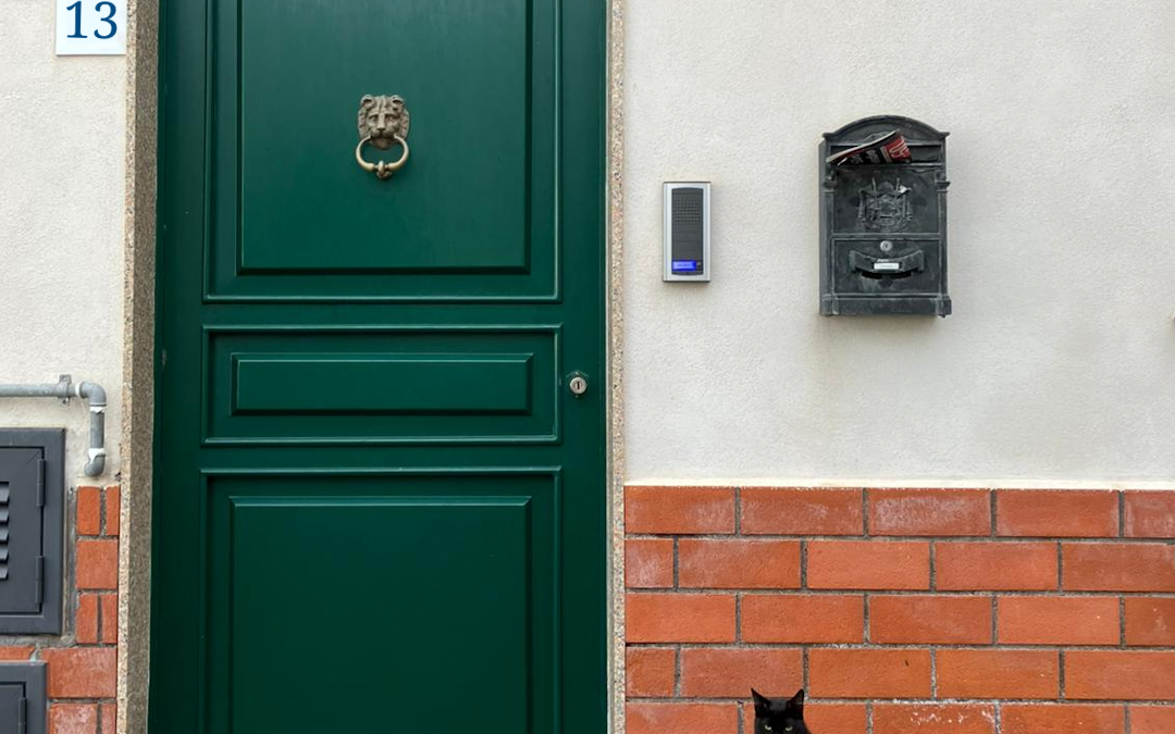 Bild einer schwarzen Katze, die auf einem Mülleimer neben einer dunkelgrünen Haustüre sitzt.
